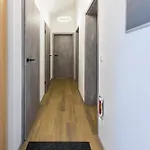 Zeichner Apartment *